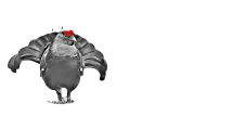 Matej Ferenčík - Slovakian Wilderness