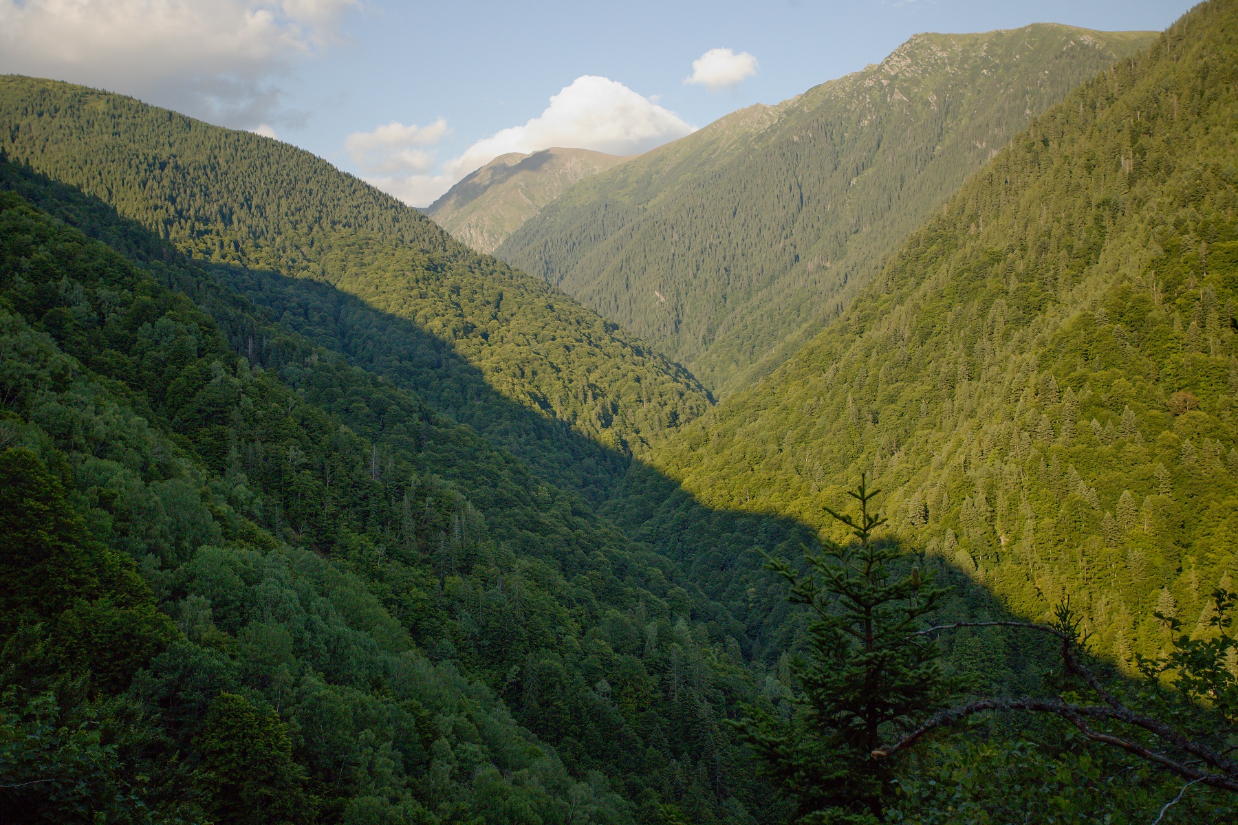 Boia Mică, Munții Făgăraș, Romania Canon EOS 6D mark II, Canon 17-40 mm, 40 mm, f4, 1/4000, ISO 2000, 5. august 2019