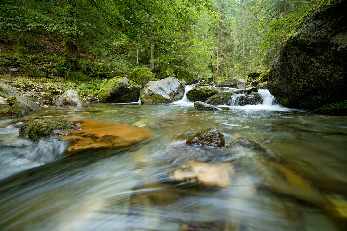 Valea Arpasului, Munții Făgăraș, Romania Canon EOS 5D mark III, Samyang 14 mm f2.8 IF-ED UMC, f8, 1_5, ISO 400, 30. august 2018