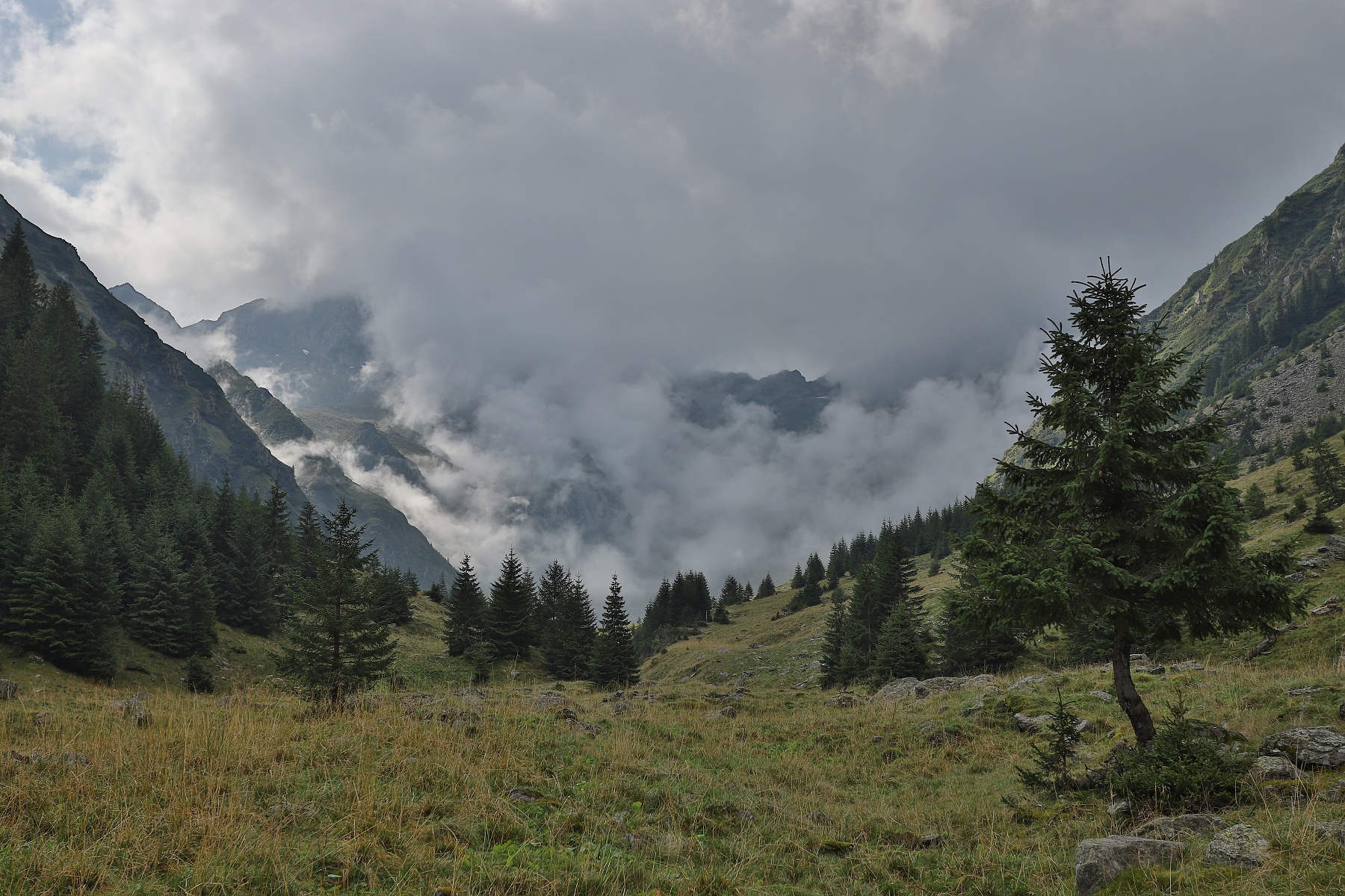 Valea Vistei, Munții Făgăraș, Romania Canon EOS 6D mark II, Canon 17-40 mm f4 L USM, 40mm, f6.3, 1_1250, ISO 250, HDR, 17. august 2019
