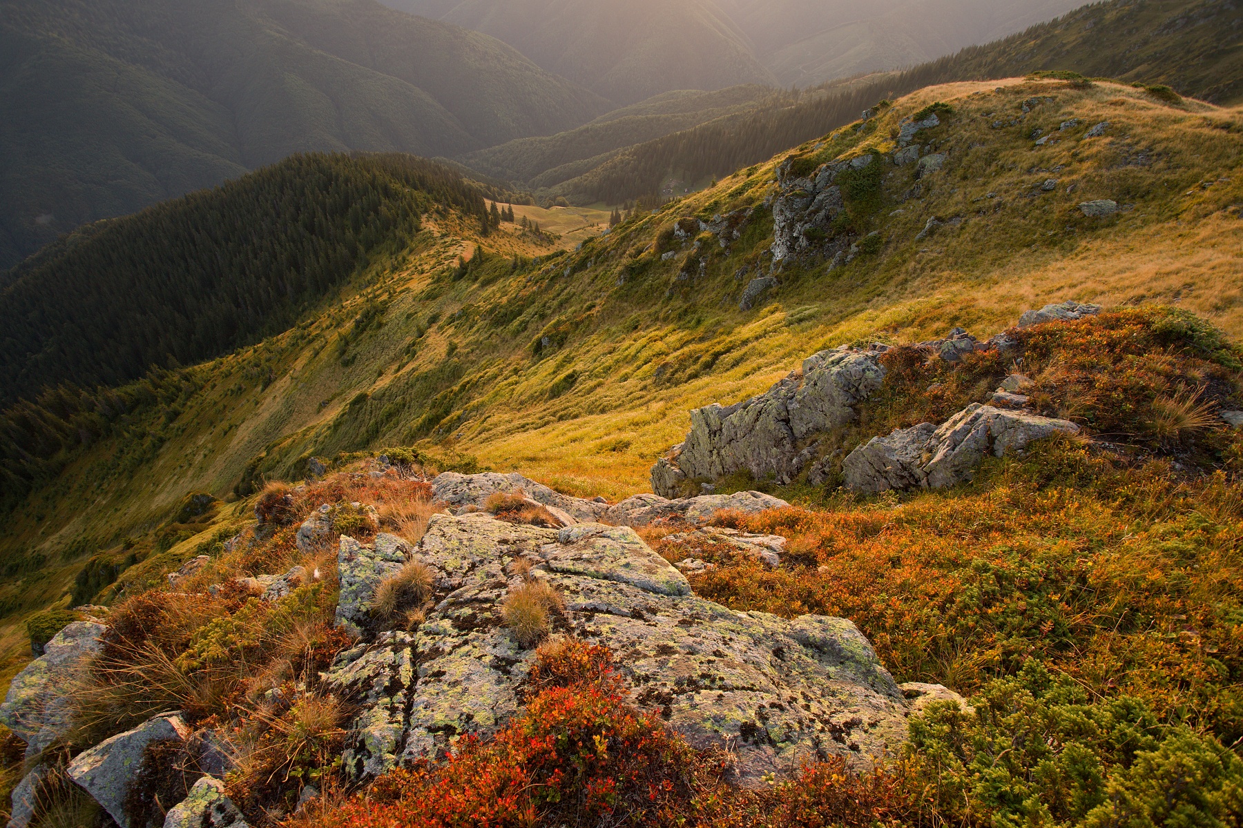 Mihailecu, Munții Maramureșului, Romania Canon EOS 6d mark II + Canon 17-40mm, 17mm, 1/20, f10, ISO 250, 22. september 2020