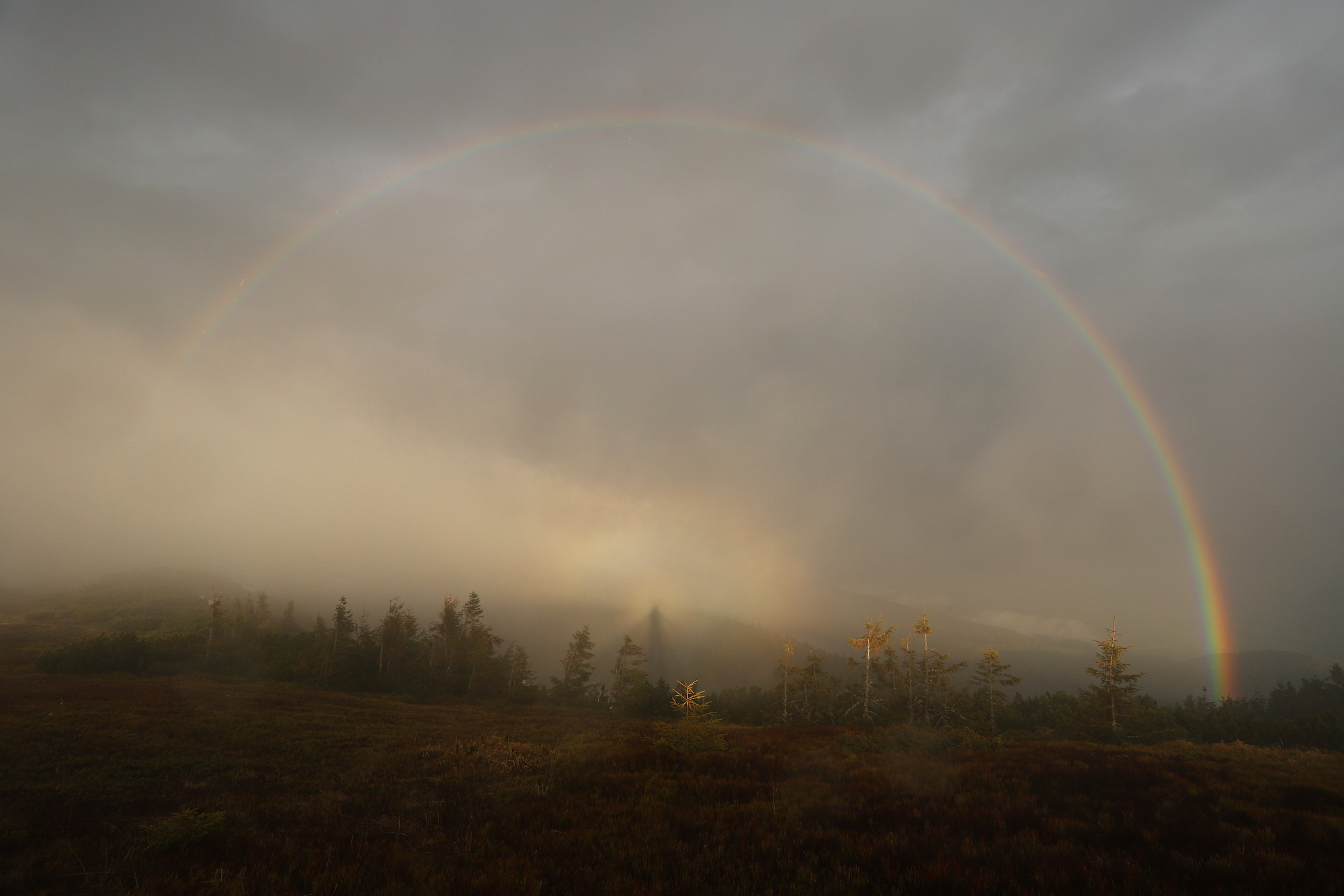 7 vidmo, Liptov, Slovensko Canon EOS 6d mark II + Canon 17-40mm, 17mm, 1/500, f8, ISO 400, 9. máj 2022