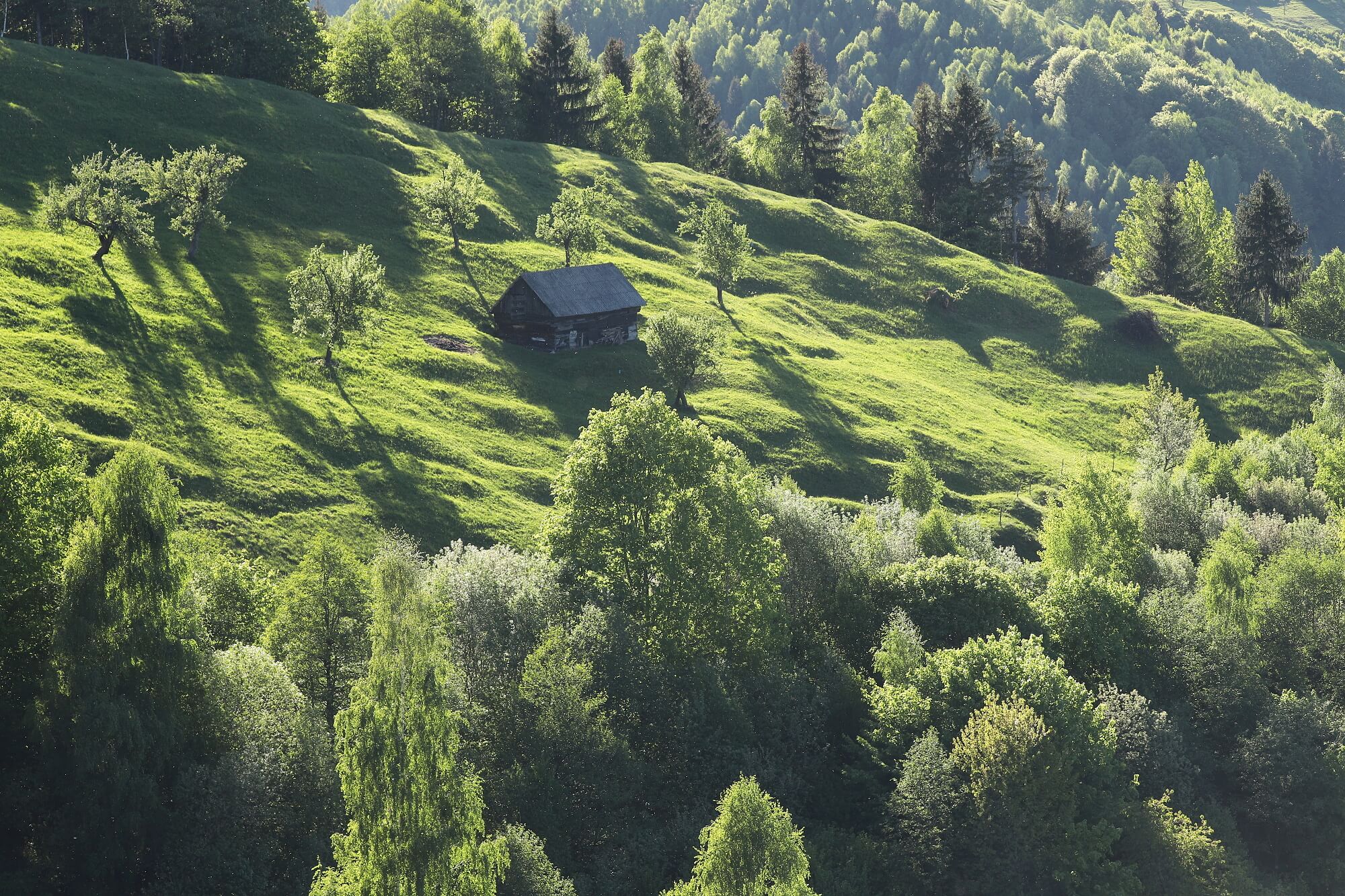 jarná krajina, Fagaraš, Rumunsko Canon EOS 6d mark II + Canon 100-400 f4.5-5.6 L IS II USM, 114mm, 1/250, f10, ISO 500, 19. máj 2022