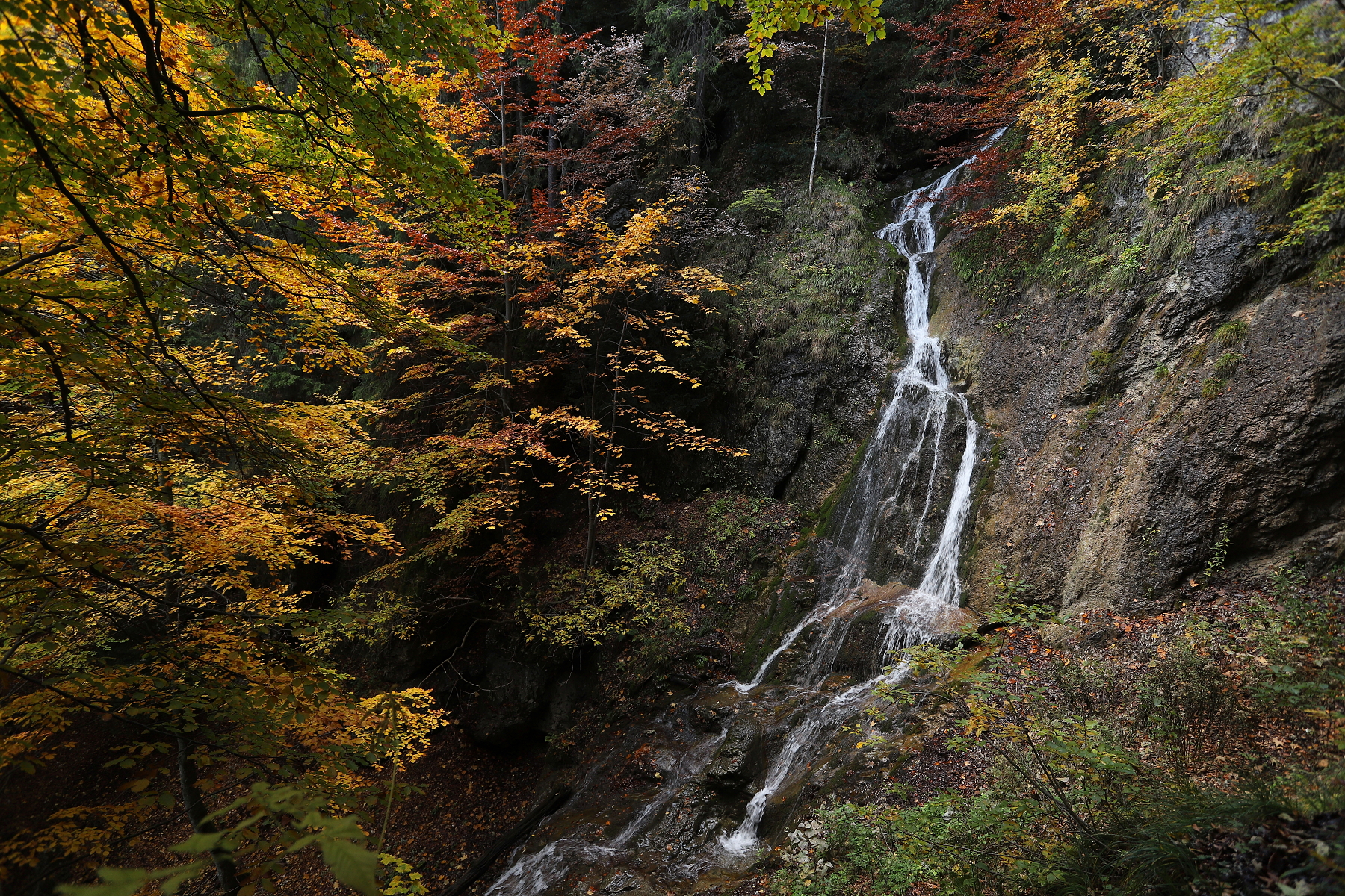 Kľacký vodopád, Malá Fatra, Slovensko Canon EOS 6d mark II + Canon 17-40mm, 17mm, 1/50, f5.6, ISO 400, 7. október 2022