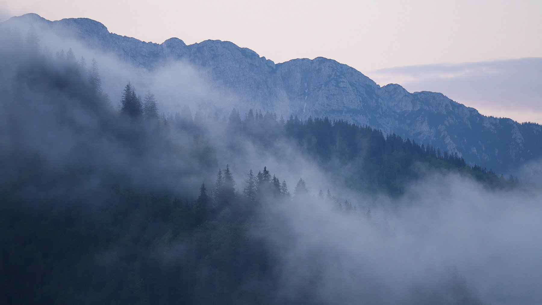 Fagaraš, Rumunsko Canon EOS 6d mark II + Canon 100-400 f4.5-5.6 L IS II USM, 300mm, 1/200, f5.6, ISO 1000, 2. jún 2023 