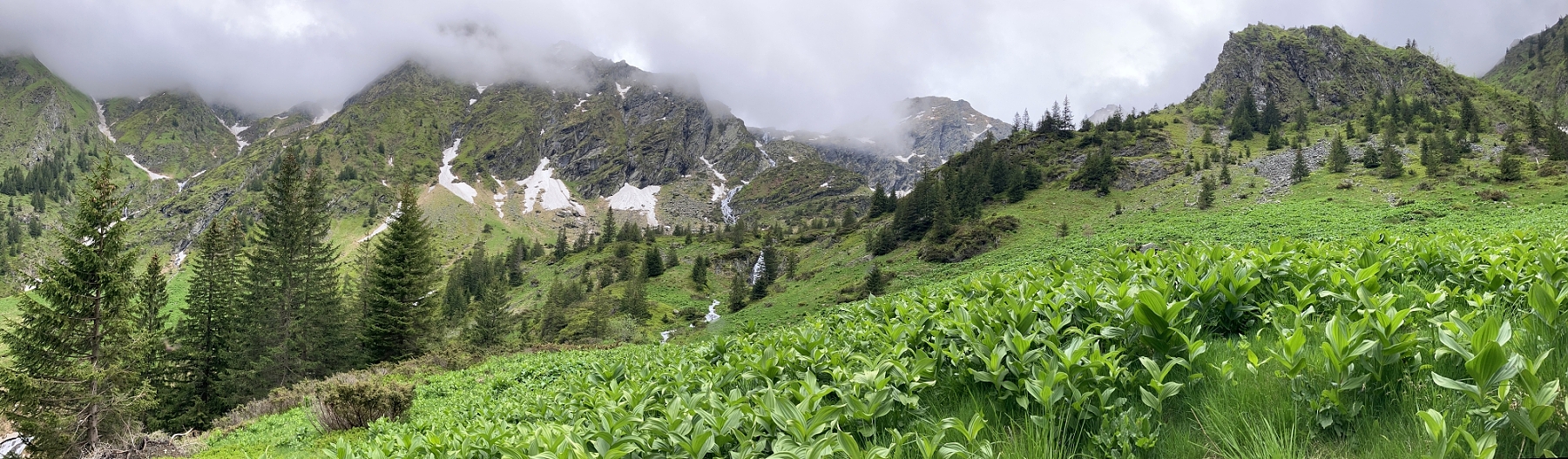 Fagaraš, RumunskoiPhone SE (3rd generation) 