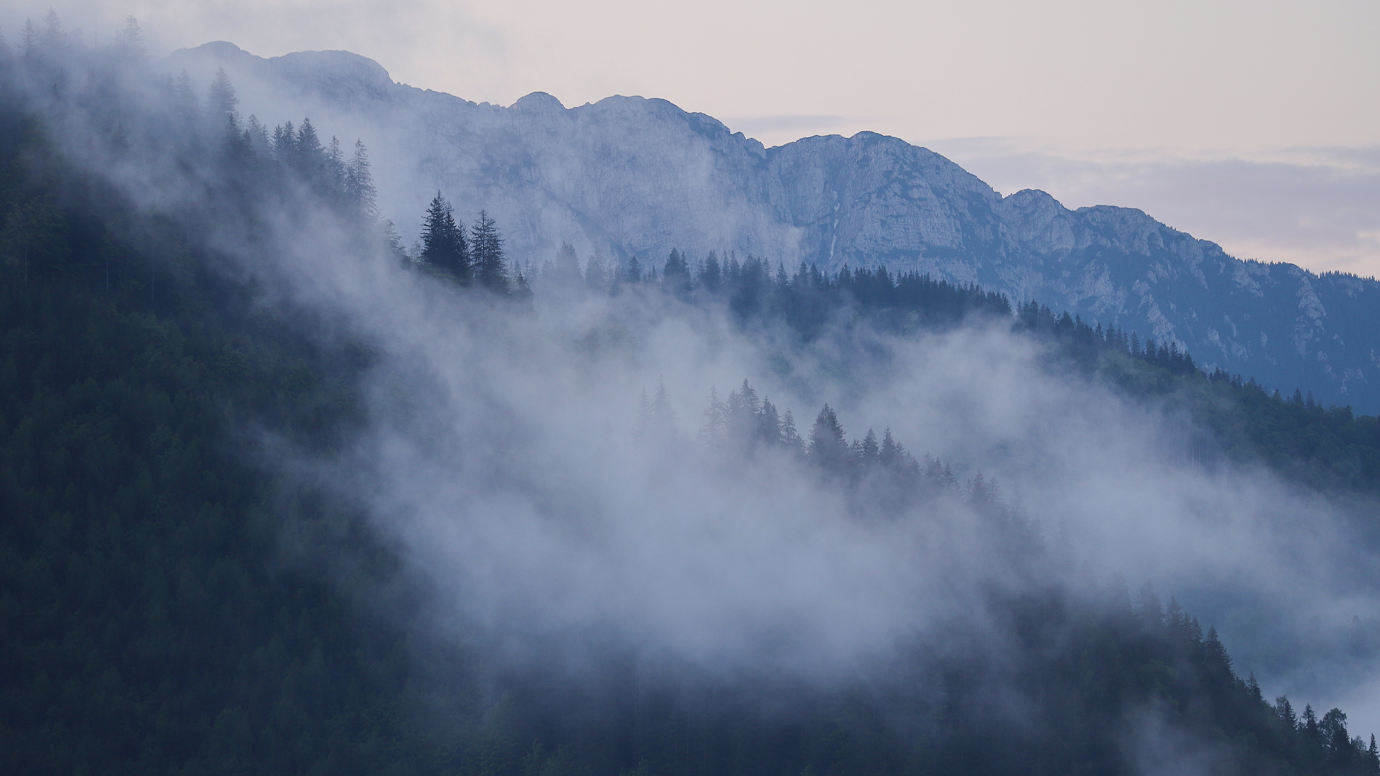 Fagaraš/Piatra Craiului, RumunskoCanon EOS 6d mark II + Canon 100-400 f4.5-5.6 L IS II USM, 263mm, 1/125, f5.6, ISO 400, 2. jún 2023 